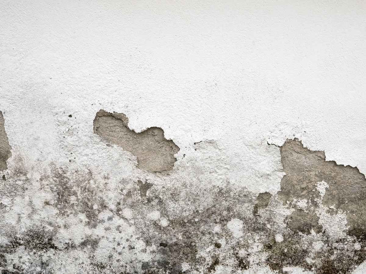 Can You Repair Render? What UK Homeowners Need to Know | HouseRenderPro