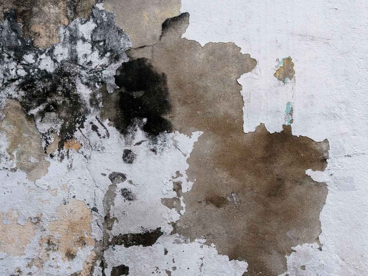 Who Repairs or Renders Houses in the UK? | Your 2025 Expert Guide